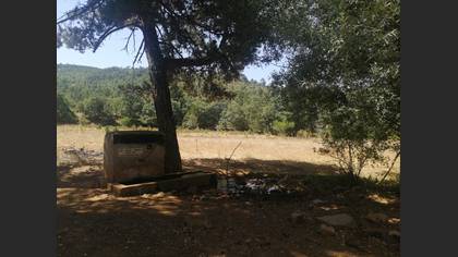 Gözlem