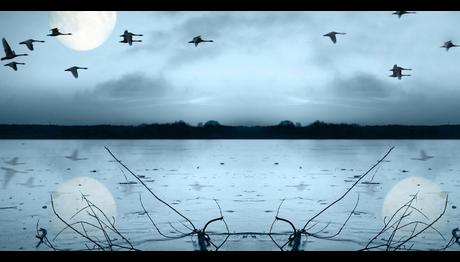 3. Havaalanı Terkos Gölü’ndeki kuşların sonu demek