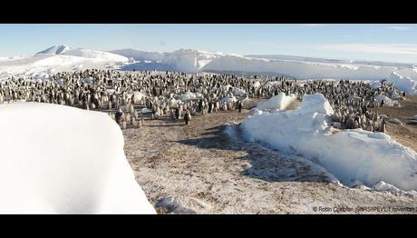 Örnek haber adı gelecek.