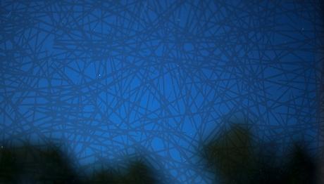 Kuşlar mimari tasarımlara yön veriyor