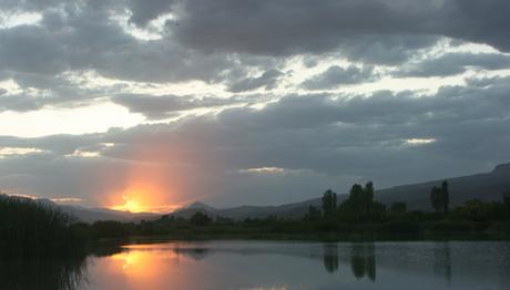 Aras Nehri Kuş Cenneti baraj suları altında kalacak! 