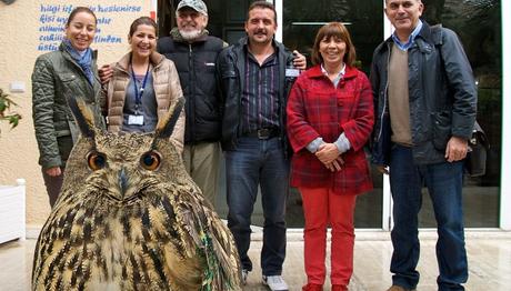 Kanadı Kırık Puhu