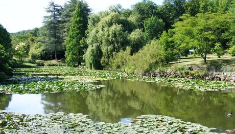 Örnek haber adı gelecek.