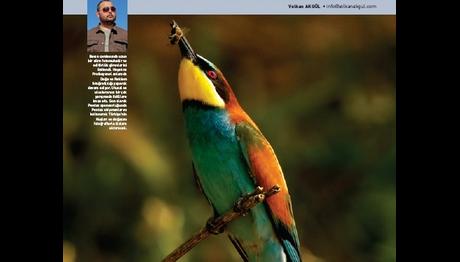 Örnek haber adı gelecek.