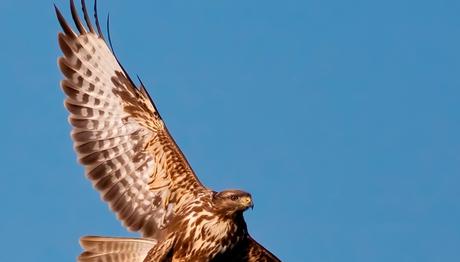 Örnek haber adı gelecek.