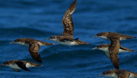Örnek haber adı gelecek.