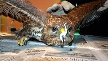 Örnek haber adı gelecek.