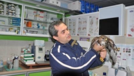 Örnek haber adı gelecek.