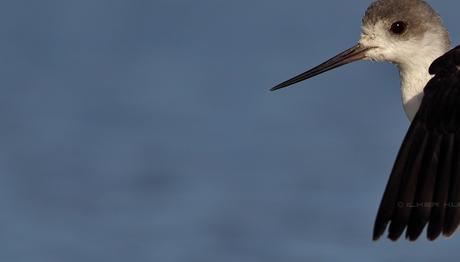 Örnek haber adı gelecek.