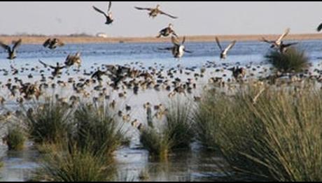 Örnek haber adı gelecek.