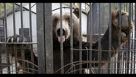 Örnek haber adı gelecek.