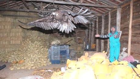 Örnek haber adı gelecek.