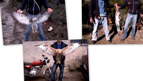Kaçak avcılara ceza yağdı.