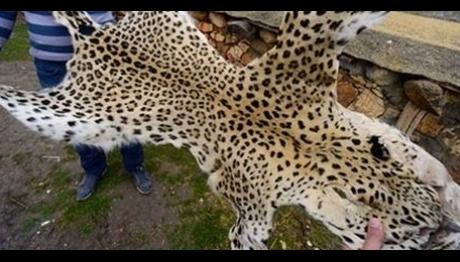 Örnek haber adı gelecek.