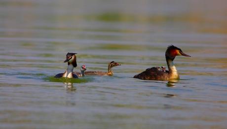Avlanmıyorum Görüntülüyorum Yarışması Sonuçları