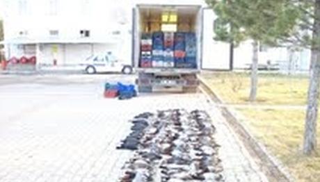 Örnek haber adı gelecek.