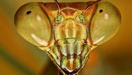 Örnek haber adı gelecek.