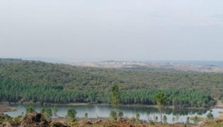 Örnek haber adı gelecek.