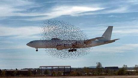 Örnek haber adı gelecek.