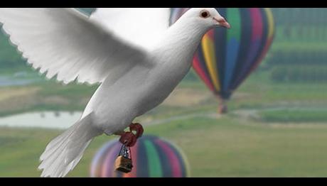 Kuşlar mesir macunu taşıdı