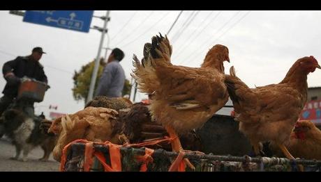 Örnek haber adı gelecek.