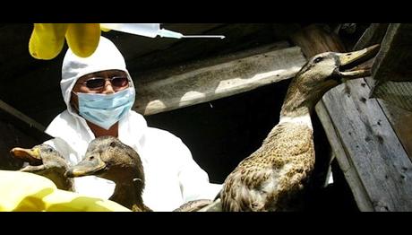 Örnek haber adı gelecek.