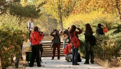 Örnek haber adı gelecek.