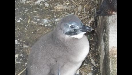 Örnek haber adı gelecek.