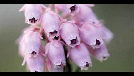 Örnek haber adı gelecek.