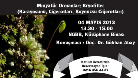 Örnek haber adı gelecek.