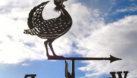 Örnek haber adı gelecek.