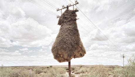 Örnek haber adı gelecek.