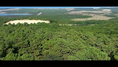 Örnek haber adı gelecek.