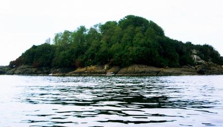 Örnek haber adı gelecek.