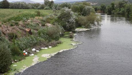 Kocaçay Deltası'ndan görüntüler...