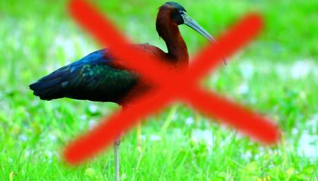 Örnek haber adı gelecek.