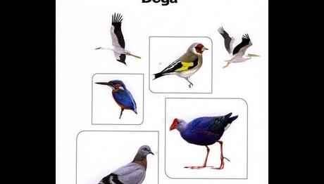 Örnek haber adı gelecek.