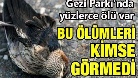 Örnek haber adı gelecek.