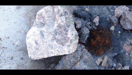 Örnek haber adı gelecek.