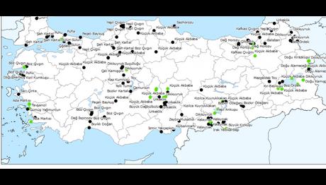 Örnek haber adı gelecek.