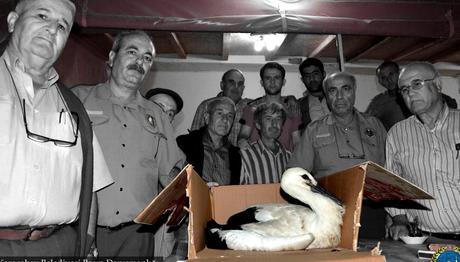 Örnek haber adı gelecek.