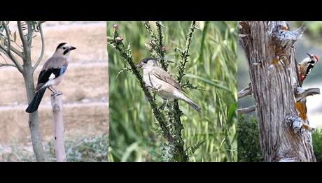 Örnek haber adı gelecek.