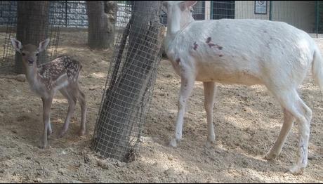 Örnek haber adı gelecek.
