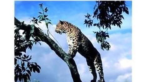 Örnek haber adı gelecek.