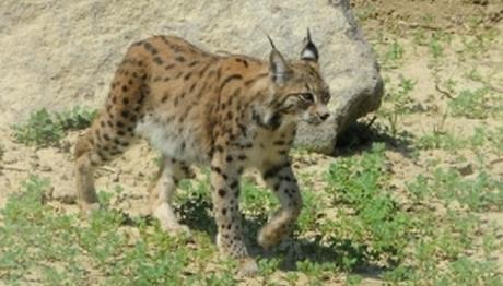 Örnek haber adı gelecek.