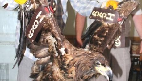 Örnek haber adı gelecek.