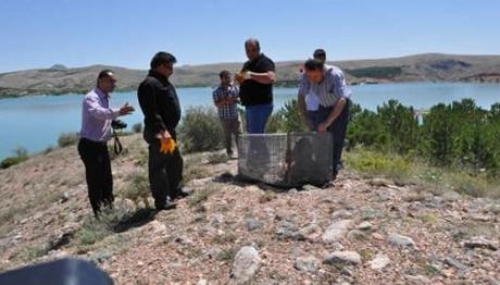 PELİKAN, ŞAHİN VE KARTAL  DOĞA İLE BULUŞTU