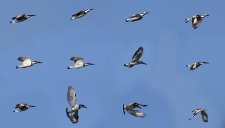 Örnek haber adı gelecek.