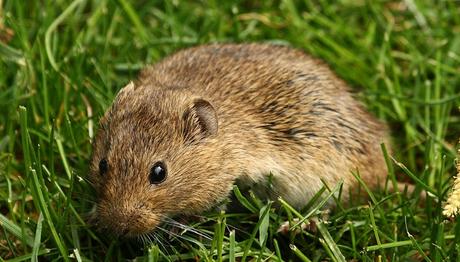 Örnek haber adı gelecek.