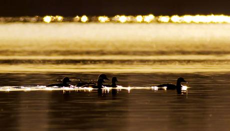 Fotoğraf ve Sihirli Saatler